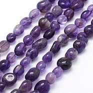 Natural Amethyst Beads Strands, Oval, 5~12x6~9x4~7mm, Hole: 1mm, about 50~53pcs/strand, 15.3 inch~15.7 inch(G-K230-13)