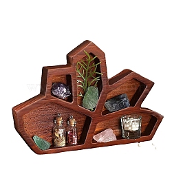 Wooden Storage Tray Desktop Display Decorations, for Gemstone Display, Fine oil Bottle Storage, Coconut Brown, 160x230x25mm(WOCR-PW0007-08)