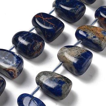 Natural Sodalite Beads Strands, Teardrop, Top Drilled, 22.5~26x14.5~19x12~14.5mm, Hole: 0.9mm, about 8~9pcs/strand, 7.48''~8.66''(19~22cm)