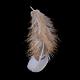 Chicken Feather Costume Accessories(FIND-Q046-02)-3