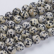 Natural Dalmation Jasper Beads Strands, Round, 10mm, Hole: 1mm, about 19pcs/strand, 7.6 inch(G-G515-10mm-06)