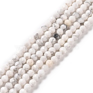 Natural Howlite Beads Strands, Faceted, Round, 3~3.5mm, Hole: 0.8mm, about 112pcs/strand, 15.35''(39cm)(G-H273-02B)