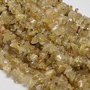 Chip Natural Gold Rutilated Quartz Beads Strands, 5~8x5~8mm, Hole: 1mm, 34 inch(G-N0134-29)