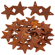 Rust Iron Pendants, Star, Sienna, 25.4mm(IFIN-WH0065-16D)