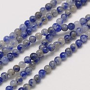 Natural Gemstone Blue Spot Jasper Round Beads Strands, 2mm, Hole: 0.8mm, about 184pcs/strand, 16 inch(G-A130-2mm-21)