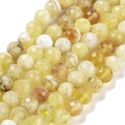 Natural Yellow Opal Beads Strands, Faceted, Round, 6mm, Hole: 1mm, about 61pcs/strand, 15.55 inch(39.5cm)(G-L597-C05-05)