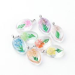Glass Pendants, with Dried Flower Inside, Oval, Platinum, Mixed Color, 31x18x10~11mm, Hole: 5x2mm(GGLA-Q047-15)