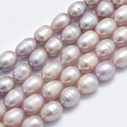 Natural Cultured Freshwater Pearl Beads Strands, Rice, Dark Orchid, 8~13x7mm, Hole: 0.8mm, about 42pcs/strand, 14 inch(35.5cm)(PEAR-F007-85B-01A)