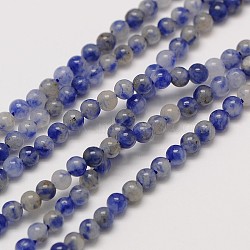 Natural Gemstone Blue Spot Jasper Round Beads Strands, 2mm, Hole: 0.8mm; about 184pcs/strand, 16inches(G-A130-2mm-21)