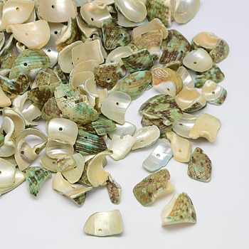 Dyed Natural Spiral Shell Chips Beads, Shell Shards, Pale Goldenrod, 10~20x6~15mm, Hole: 1mm, about 700pcs/500g