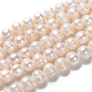 Natural Cultured Freshwater Pearl Beads Strands, Potato, Bisque, 10~11x10.5~12mm, Hole: 0.6mm, about 34pcs/strand, 14.17 inch(36cm)(PEAR-L033-90-01)