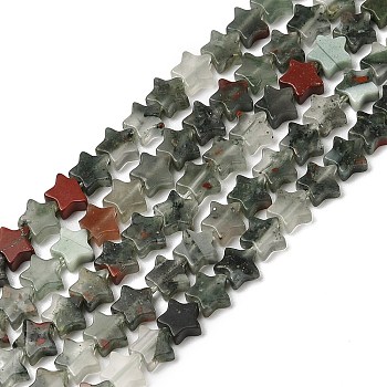 Natural Bloodstone Beads Strands, Star, 5.5~6x5.5~6x2.5mm, Hole: 1mm, about 76pcs/strand, 15.31~15.35''(38.9~39cm)