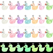 21Pcs 7 Styles Luminous Transparent Resin Pendants, Glow in the Dark Duck Charms, with Platinum Tone Iron Loops, Mixed Color, 18~21x17~20x12~13mm, Hole: 2mm, 3pcs/style(RESI-YW0001-82)