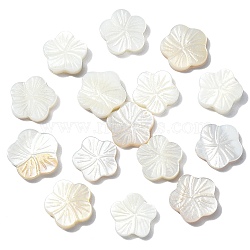 30Pcs Natural Freshwater Shell Beads Strands, Flower, Seashell Color, 12~13x12~13x2~3.5mm, Hole: 1mm(SHEL-CJ0001-30)