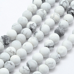 Natural Howlite Beads Strands, Frosted, Round, 10~10.5mm, Hole: 1mm, about 38pcs/strand, 15.7 inch(40cm)(G-F518-22-10mm)