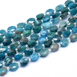 Natural Apatite Beads Strands, Faceted, Oval, 7~7.5x6~6.5x3.5~4mm, Hole: 1mm, about 43pcs/strand, 15.55 inch(39.5cm)(G-L552J-01A)