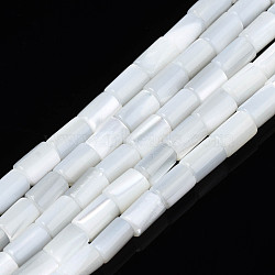 Natural Freshwater Shell Beads Strands, Column, White, 4~5x3~3.5mm, Hole: 0.9mm, about 77~78pcs/strand, 15.55 inch~15.75 inch(39.5~40cm)(SHEL-N003-26-A01)