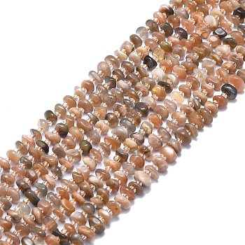 Natural Multi-Moonstone Beads Strands, Chip, 7~8.5x6~7.5x3~5mm, Hole: 1mm, about 75pcs/strand, 15.55 inch(39.5cm)