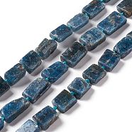 Natural Kyanite Beads Strands, Rectangle, 9~18x7.5~8x4~5mm, Hole: 1.8mm, about 26~32pcs/strand, 16.34~16.54 inch(41.5~42cm)(G-F719-08)