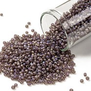 TOHO Round Seed Beads, Japanese Seed Beads, (166BF) Transparent AB Frost Medium Amethyst, 11/0, 2.2mm, Hole: 0.8mm, about 1110pcs/10g(X-SEED-TR11-0166BF)