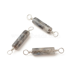 Natural Larvikite Connector Charms, with Platinum Tone Eco-Friendly Brass Wire Double Loops, Column, 23~24x4mm, Hole: 2~2.6mm(PALLOY-JF01574-03)