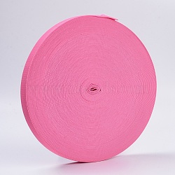 Colored Flat Elastic Rubber Band, Webbing Garment Sewing Accessories, Flamingo, 25mm, about 43.74 yards(40m)/roll(EC-WH0002-27)