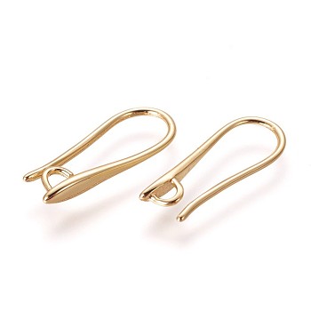 Brass Earring Hooks, with Horizontal Loop, Golden, 19.5x8x2.5mm, Hole: 2mm, 18 Gauge, Pin: 1mm