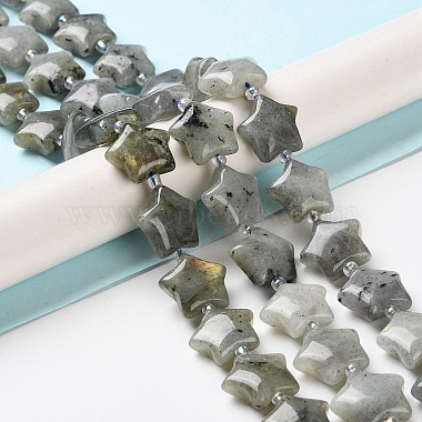 Natural Labradorite Beads Strands(G-NH0005-020)-2