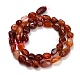 naturelles agate rouge brins(GG-CBA7621-B01-01)-5