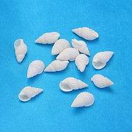 Natural Trumpet Shell Beads, Mixed, White, 17~31x10~15x8~11mm, Hole: 1mm, about 850pcs/500g(BSHE-S061)
