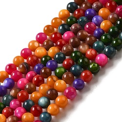 Natural Freshwater Shell Beads Strands, Round, Dyed, Mixed Color, 3mm, Hole: 0.5mm, about 124~132pcs/strand, 14.96''(38cm)(SHEL-H003-03H)