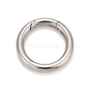 Stainless Steel Color 304 Stainless Steel Clasps