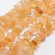 Natural Citrine Beads Strands, Nuggets, Dyed & Heated, 12~20x6~8mm, Hole: 1mm, 15.3 inch(39cm)(G-F521-01)