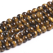 Gemstone Beads, Round, Tiger Eye, Grade AB+, Colorful, 6mm, Hole: 1mm  60pcs/strand(X-Z0RQX011)
