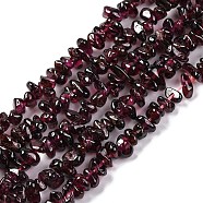 Natural Garnet Beads Strands, Chips, 4~7x4~7mm, Hole: 0.5~0.8mm, 32 inch(F065-01A)