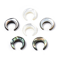 Natural Shell Bead sets, Including Black Lip Shell & Abalone Shell/Paua Shell & White Shell, Crescent Moon, 13x13x3mm, Hole: 0.8mm, about 6pcs/bag(SSHEL-N034-122B)