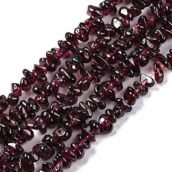 Natural Garnet Beads Strands, Chips, 4~7x4~7mm, Hole: 0.5~0.8mm, 32 inch(F065-01A)