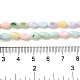 Rainbow Color Dyed Natural Freshwater Shell Beads Strands(SHEL-G018-02H)-4