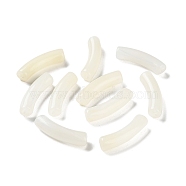 Resin Beads, Curved Tube, Snow, 31.5x7.5mm, Hole: 1.8mm(RESI-A035-01)