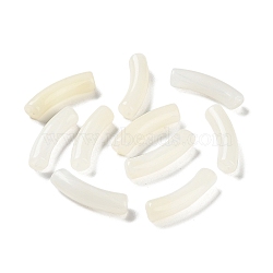 Resin Beads, Curved Tube, Snow, 31.5x7.5mm, Hole: 1.8mm(RESI-A035-01)