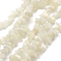 Natural White Moonstone Beads Strands, Chip, 5~8mm, Hole: 1mm, about 33 inch(84cm)(X-G-P332-01)