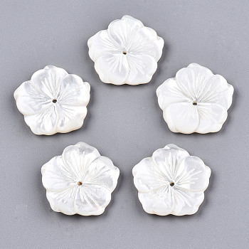 Natural White Shell Mother of Pearl Shell Beads, Carved, Flower, Creamy White, 22x22x3mm, Hole: 1.2mm