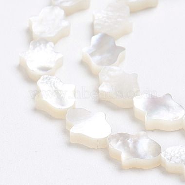 Perlas de concha de nácar de concha blanca natural(X-SSHEL-L017-006)-2