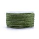 Polyester Braided Cord(OCOR-F010-A45-2MM)-1