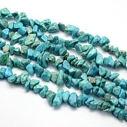 Synthetic Turquoise Beads Strands, Chips, Dyed, 5~8x5~8mm, Hole: 1mm, about 31.5 inch(X-G-O049-B-43)