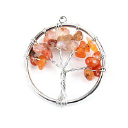 Natural Red Agate Tree fo Life Pendants, Iron Ring Chip Gems Tree Charms, Platinum, 30mm(WG82707-18)
