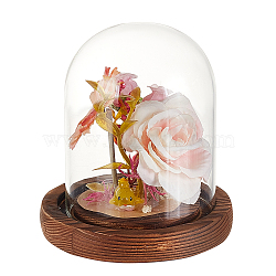 Glass Dome Cover, Decorative Display Case, Cloche Bell Jar Terrarium with Wood Base, for DIY Preserved Flower Gift, Clear, 103x112mm(AJEW-WH0475-19A)