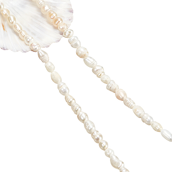 1 Strand Grade A Natural Cultured Freshwater Pearl Beads Strands, Rice, White, 4~7.5x3~4mm, Hole: 0.6mm, about 65~72pcs/strand, 14.45 inch~14.65 inch(36.7cm~37.2cm)