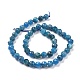 Natural Apatite Beads Strands(G-K323-13)-3