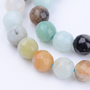 Natural Flower Amazonite Beads Strands, Round, Faceted, 6~6.5mm, Hole: 1mm, about 63pcs/strand, 15.5 inch(X-G-Q462-6mm-42)